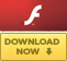Download adobe flash player.
